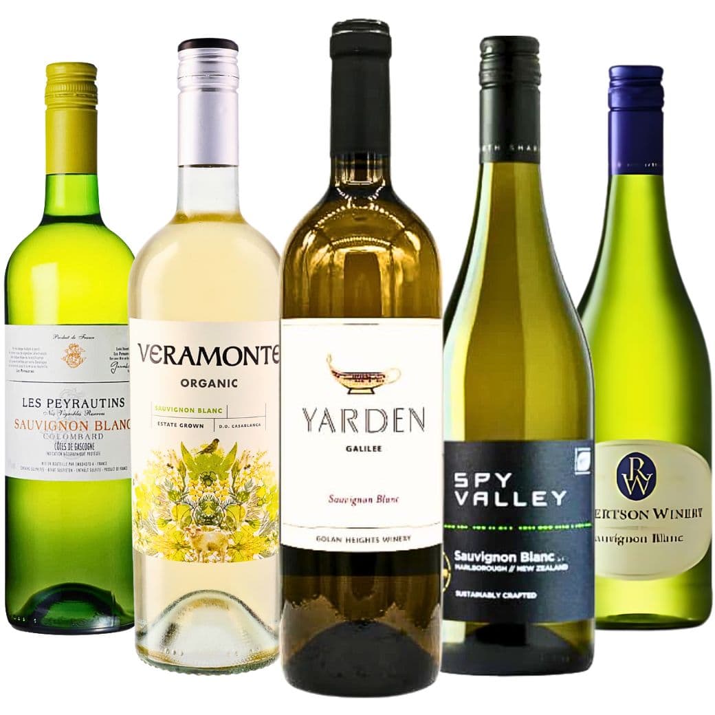《送料無料》『世界のソーヴィニヨン ブラン5本セット』葡萄屋品種シリーズ ワイン セット飲み比べ