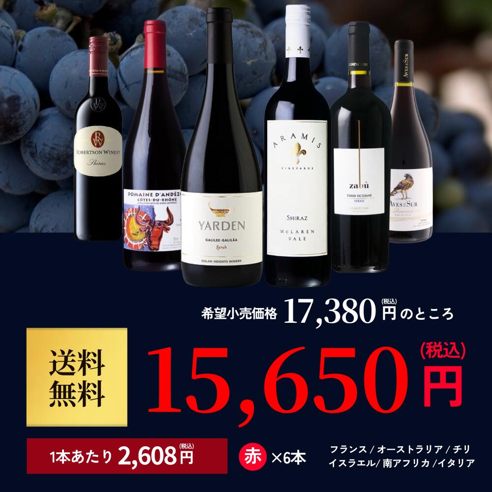『世界のシラー6本セット』シラーズ 飲み比べ 葡萄屋品種シリーズワイン セット budouya-10004559 世界のワイン葡萄屋 サンプル画像2