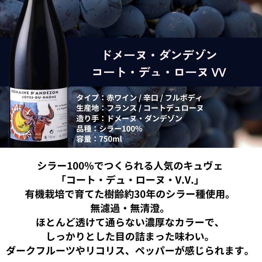 『世界のシラー6本セット』シラーズ 飲み比べ 葡萄屋品種シリーズワイン セット budouya-10004559 世界のワイン葡萄屋 サンプル画像3