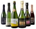 《送料無料》スペイン カヴァ スペシャル6本セット ワインセット なし