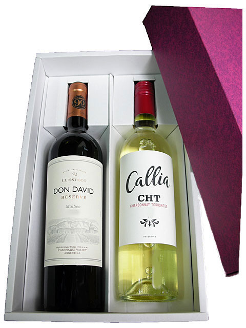 ワイン ギフト 贈り物 誕生日 プレゼント特選アルゼンチンワイン紅白2本セット 化粧箱入 母の日 父の日 プレゼント ギフト 誕生日 贈り物
