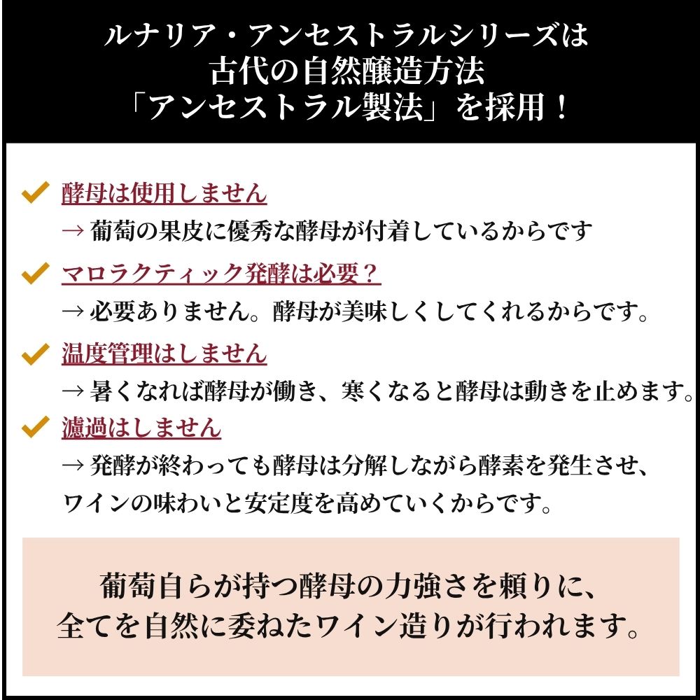 カンティーナ オルソーニャ ルナリア マルヴァジア ビアンカ オレンジ アンセストラル ビオディナミック ナチュレ ワイン(SO2無添加) オレンジワイン イタリア アブルッツォ州 2024 750 Lunaria Malvasia Bianca Orange Ancestral Biodynamic Still Nature budouya-10004761 世界のワイン葡萄屋 サンプル画像3