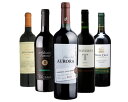 ワイン セット 送料無料 飲み比べ 南米5ヶ国フルボディ赤ワイン5本セット ホワイトデー プレゼント ギフト 誕生日 贈り物