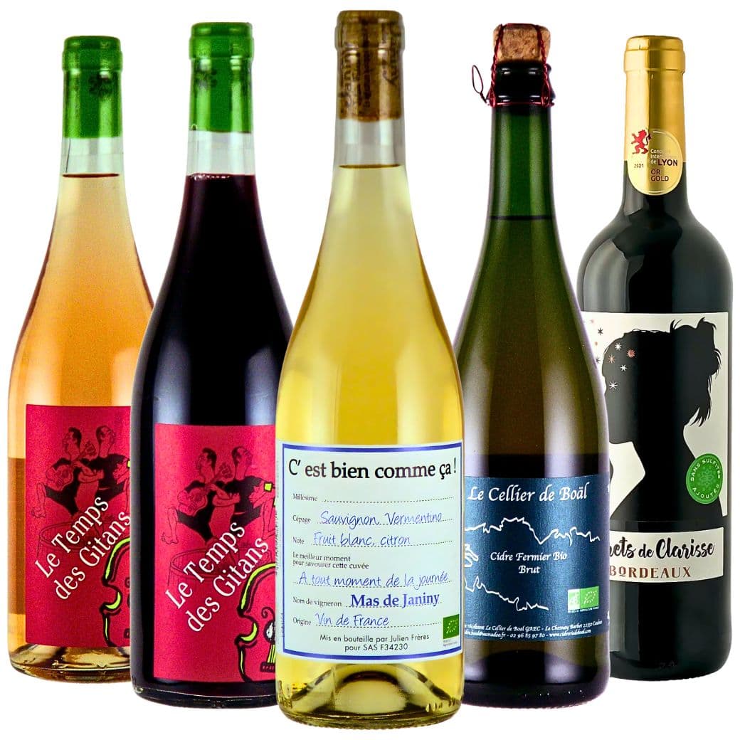 【初心者におすすめ】ワイン&シードル自然派入門5本セット ワインセット フランス