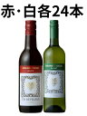 グラン クール by LGI グラン クール ミニボトル 赤 白48本セット フランス 187ml ワイン セット 送料無料 飲み比べ
