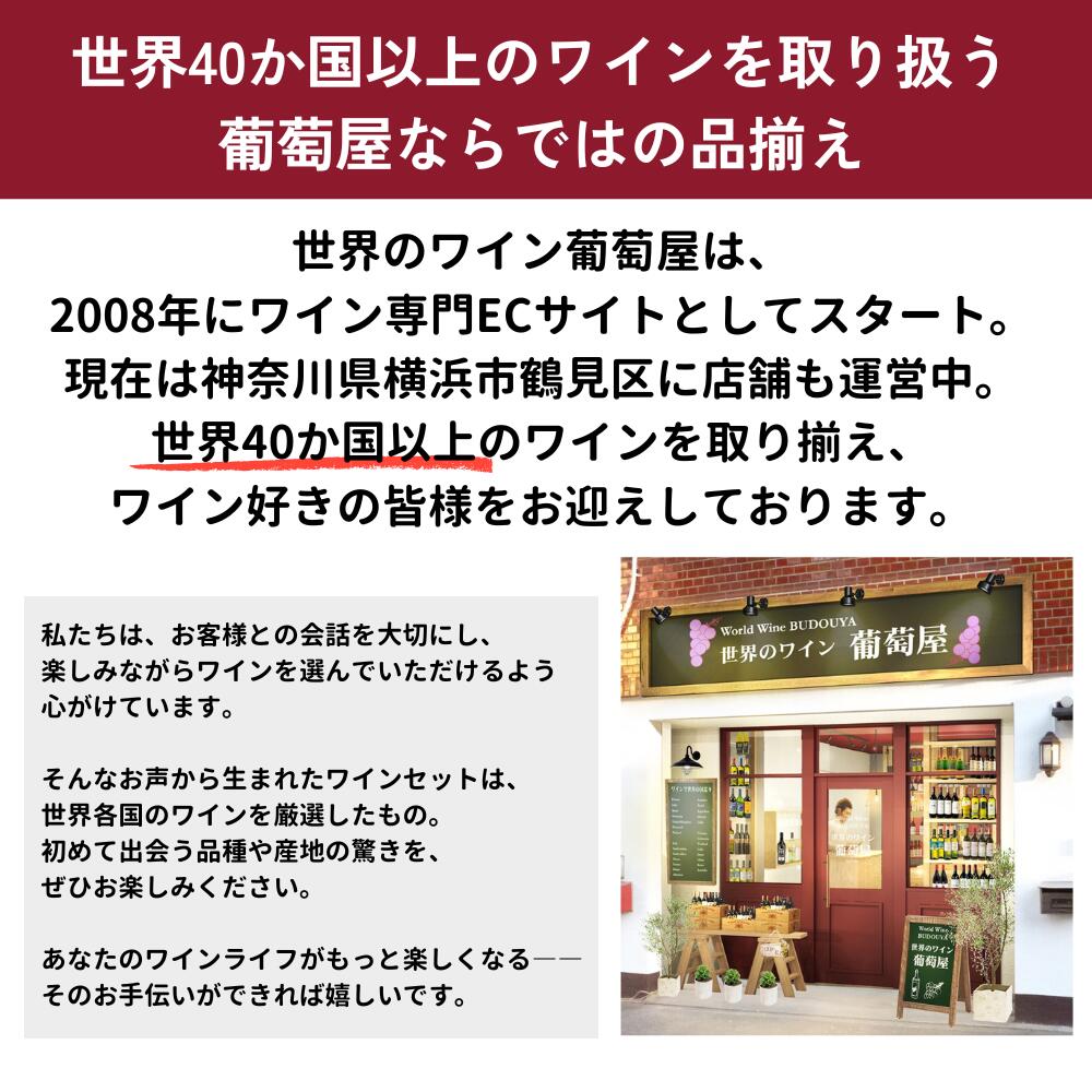 �ڥǥ��ԥ�Υɥå��ȥ�1���աۥǥ��� ���꡼��11�ܥ��å� �磻�� ���åȡ�����̵���հ������