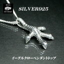 シルバー925イーグルクローネックレスペンダントトップ 鷲 インディアンジュエリーネイティブアメリカン バディシルバーアクセサリー 5-670
