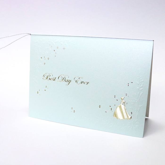 結婚式 招待状 手作りセット【ディズニーシリーズ（シンデレラ）】用紙 台紙 封筒 はがき シール