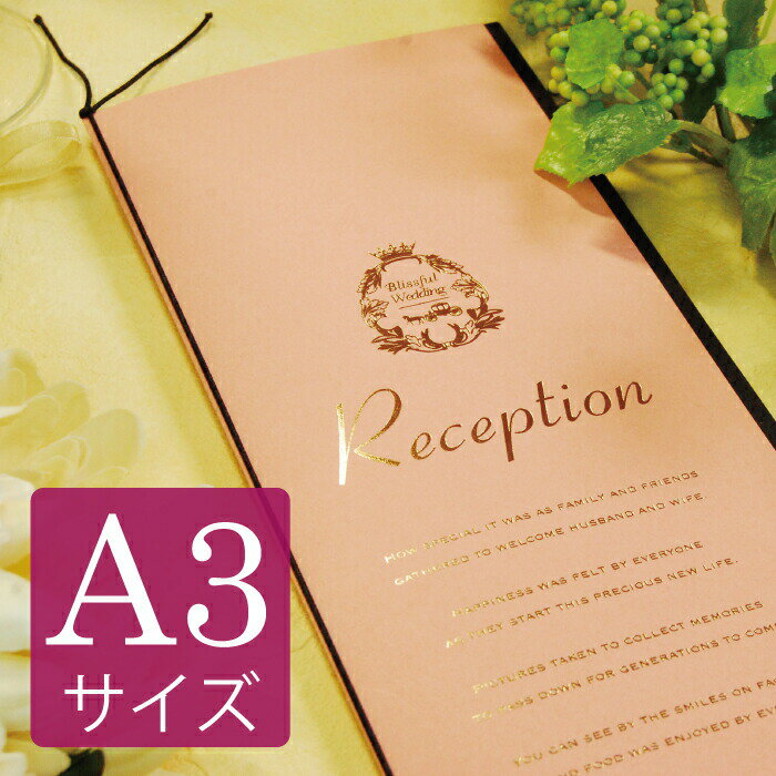 뺧 ʼɽ  å a3 ڥݥåȡʥԥ󥯡 A3 ꥻå     鴶  ʽ...