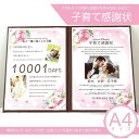 写真入り子育て感謝状【Rose】ケース・誕生石付き A4サイズ | 感謝状 両親へのプレゼント 贈答品 名入れ オリジナル 結婚式 ウェディング 披露宴 かわい...