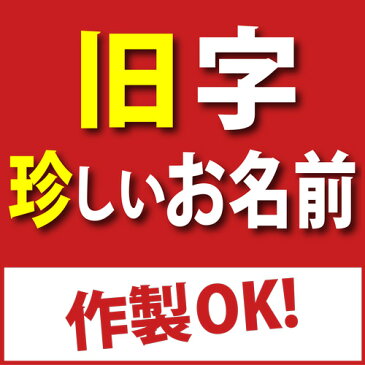 シャチハタ ペアネーム　ネーム印+訂正印【送料無料】シヤチハタ　ツインネーム 印鑑 はんこ ハンコ ネーム印 認印 浸透印 しゃちはた 売れ筋商品