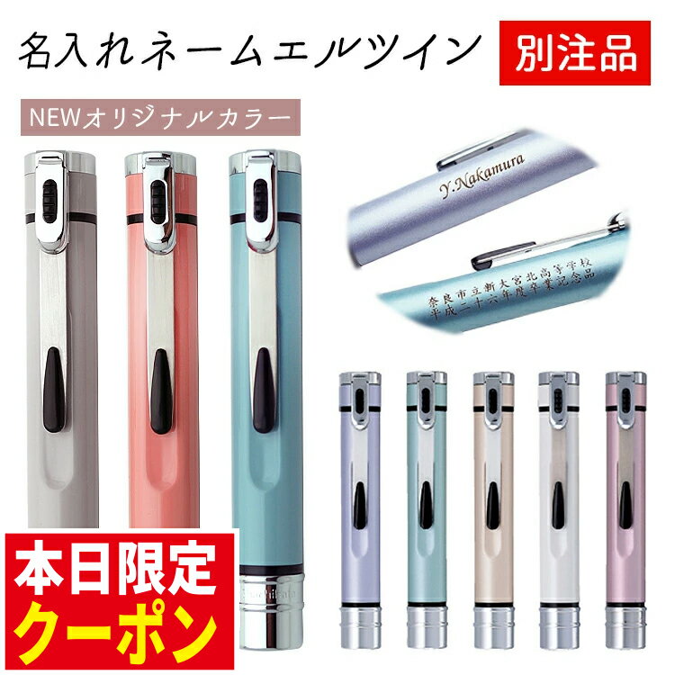 名入れ シャチハタ ネームエルツイン 別注品 くすみカラー ギフトボックス付 ネーム印＋訂正印 印鑑 はんこ ギフト 卒業記念品 創立記念 表彰 シヤチハタ 卒業式