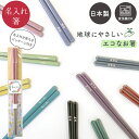 箸 名入れ ギフト 食洗機対応 すべらない お箸 プレゼント 国産 日本製 若狭塗 1膳 誕生日 ライン ギフト 還暦祝 彫刻名入れ 新生活 引越祝 留学生 お土産 卒園記念 プチギフト 誕生日 粗品