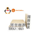 【受賞記念クーポン有】 お名前スタンプ /おなまえスタンプ【ねーむぱらだいす】単品ゴム印【LL】【学参フォント】9×45mm/9×60mm【入学準備・名前付・ゴム印・はんこセット/お名前はんこ/おなまえはんこ】