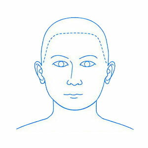 [クーポン配布中] シャチハタ 医療用人体図 「頭（正面）」 角型印4040号（40x40mm）病院 ...