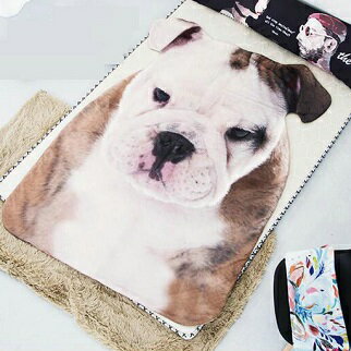 ���ƺƺƺƺƺƺ����١�������̵���饤��ۥ֥�ɥå��ڥ���ȥ��åȡۥ֥��������륨�åȷ����������ȥɥ��������ס����񡡶��������̡�������120��170cm�����뿲