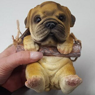 �֥�ɥå��������֥롡�٥ӡ��ե��󥹡������ǥ󥰥å���bulldog�������Ƹ�