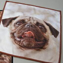 パグ雑貨【自社オリジナル商品】 パグマイクロファイバーハンカチタオル pug 犬 イヌ パググッズ