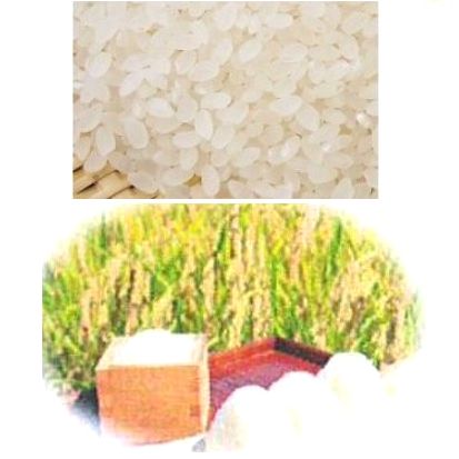 新珠 生こもち 400g