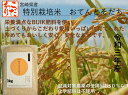 新米 令和四年産 特別栽培米 3kg おてんとそだち　有機BUIK肥料で育てた栄養満点　微農薬 安心・安全のお米(一部地域 送料無料)