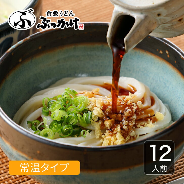 倉敷名物 ぶっかけうどん ファミリーセット（半生）9・12・18・24人前【半生うどん3人前×3.4.6.8袋 ぶっかけのたれ1人前×9.12.18.24袋 】倉敷うどん ぶっかけ ふるいち 半生麺 常温保存 うどん ギフト ご自宅用 お歳暮 半生うどん 夏ギフト 送料無料