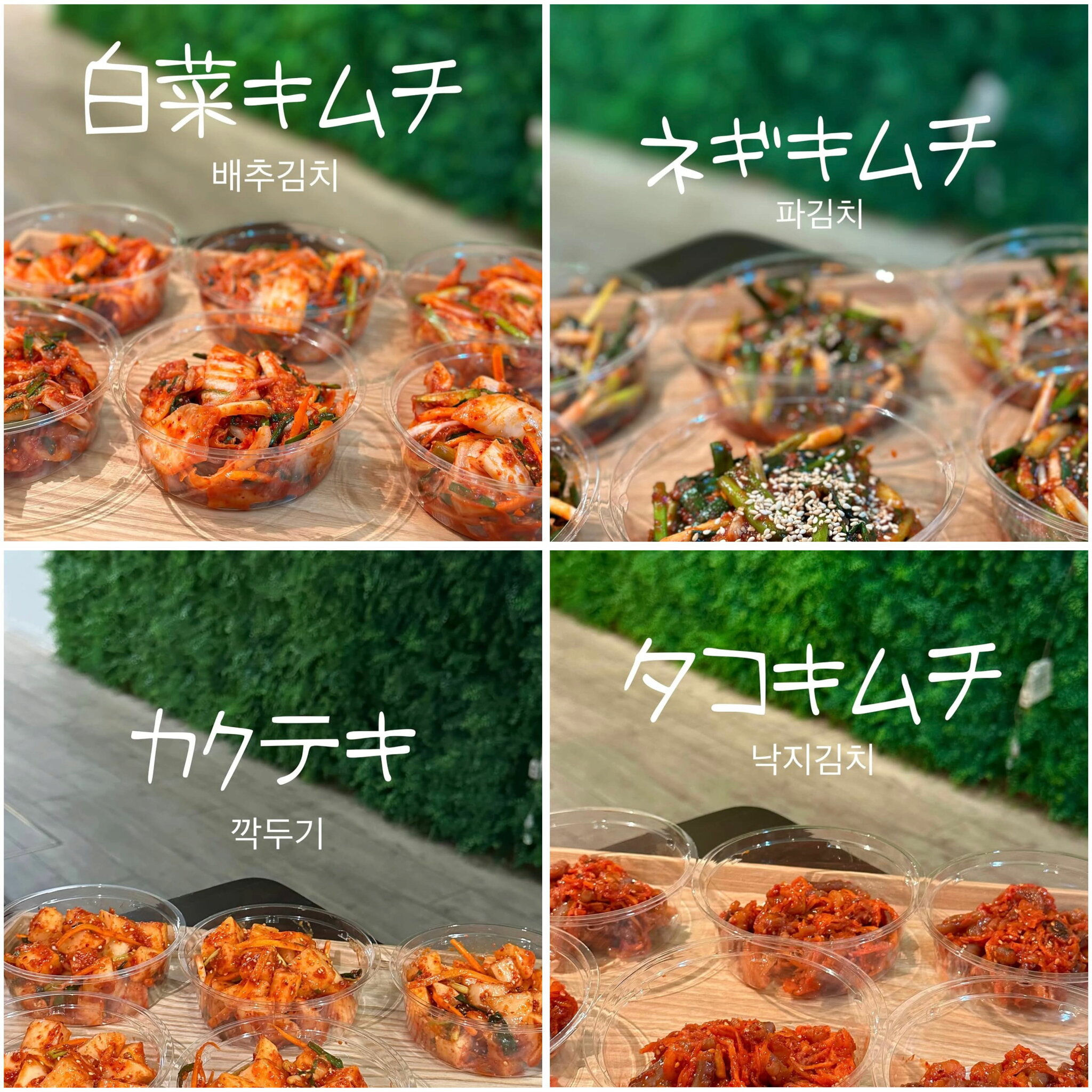 スニオンマ特製キムチ5個セット 白菜キムチ ネギキムチ カクテキ タコキムチ