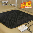 ホットクッション カーシートクッション USB電源 12V 座席 カラー3色より選択 ヒーター内蔵 クッション シートヒーター