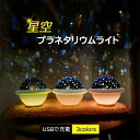 オモチャ 天井照明 玩具 星空ライト ライト プラネタリウムライト おうちで星空 通販 家庭用 子供 最大300円OFF】プラネタリウム