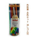 こ 子供 贈り物 プレゼント 子供/大人の塗り絵用、文具、お絵描き、ギフト 学生 ぬり絵 文具 文房具 筆記具 鉛筆 48色セット