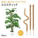スティッ ココナッツ ココ 支え棒 伸びる 支柱 サポート フラワー ヘゴ 花 ガーデニング 観葉植物 園芸支柱 おしゃれ 支柱 園芸