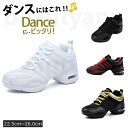 練習シュ ジャズシューズ ダンスシューズ スニーカー 厚底 軽量 男女兼用 カジュアル メンズ レディース ダンススニーカー WILLS
