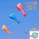 子供おもちゃ 公園 ビーチ アウトドア 凧揚げ 紙鳶 イルカ 組み立なし 軽量で丈夫 たこ たこあげ スカイカイト 立体イルカ 凧