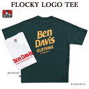 BEN DAVIS xfCrX 24580011 FLOCKY LOGO TEE TVc S vg Y fB[X