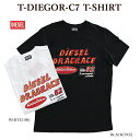 【店内全品ポイント5倍】DIESEL ディーゼル A03842 0HAYU T-DIEGOR-C7 T-SHIRT 半袖Tシャツ グラフィックプリント ファイヤーロゴ メンズ レディース【並行輸入品】