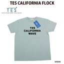 The Endless Summer エンドレスサマー 9574332 TES CALIFORNIA FLOCK Tシャツ TES テス ロゴ フロッキー カリフォルニア サーフ