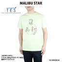  エンドレスサマー 9574308 MALIBU STAR-T Tシャツ TES テス カリフォルニア サーフ マリブスター