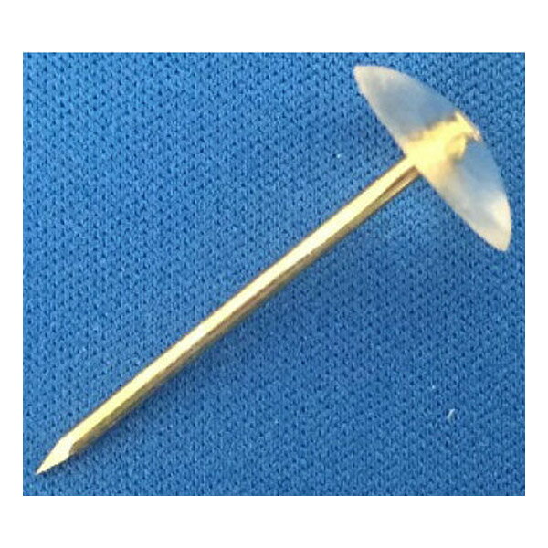 ��16�Ĥޤǥ᡼����OK�ۥ��������� �����ڥåȥԥ� (��) ��Ĺ30mm [���ꥢ/Ʃ��] 16������ ISCH-01T ���� Ĺ���� ��� ���夦���� �� ������ ����ץ�