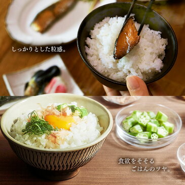 炊飯器 1升 米屋の旨み 銘柄炊き ジャー炊飯器 RC-MC10-B送料無料 10合 10合炊き 炊飯ジャー 一人暮らし おしゃれ 炊飯 糖質カット 低糖質 お粥 おかゆ 玄米 保温 タイマー おしゃれ家電 新生活 家電 キッチン家電 調理家電 ブラック 黒 アイリスオーヤマ