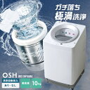 洗濯機 10kg 10キロ 縦型 全自動 縦型洗濯機 選べる自動投入 全自動洗濯機 省エネ ガチ落ち 極渦洗浄 Wシャワー シンプル デザイン 新生活 タイパ ...