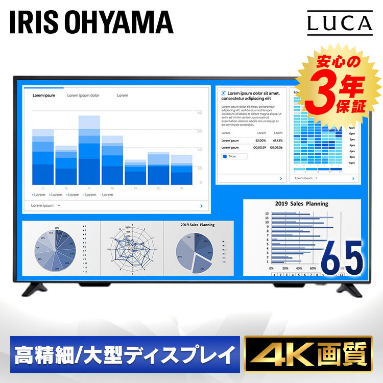 ˥ 4K 65 65 HDMI ǥץ쥤 վ˥ PC˥ ꥹ վǥץ쥤 緿 ILD-B65UHDS-B̵ 緿վǥץ쥤 緿ǥץ쥤 ˥   饤 