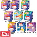 【12個セット】アイマスク 花王 まとめ買い めぐりズム 蒸気でホットアイマスク 12枚入 温かい HOT 使い捨て 目もと 男女兼用 期間限定 ポケモン Ka...