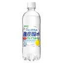 【24本セット】伊賀の天然水 強炭酸水 グレープフルーツ 5
