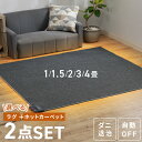 ホットカーペット 2畳 1畳 1.5畳 3畳 4畳 ラグ セット 省エネ 本体 TEKNOS 電気カーペット コンパクト ホットマット 電気マット 省エネ 正方形 切り忘れ自動OFF ダニ退治機能付 簡単操作 温度調節 コンパクト収納 グレー