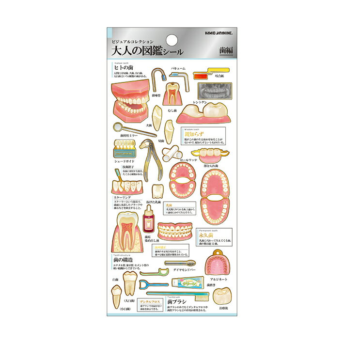 大人の図鑑　シール　歯柄　224587　[M便 1/20]のサムネイル