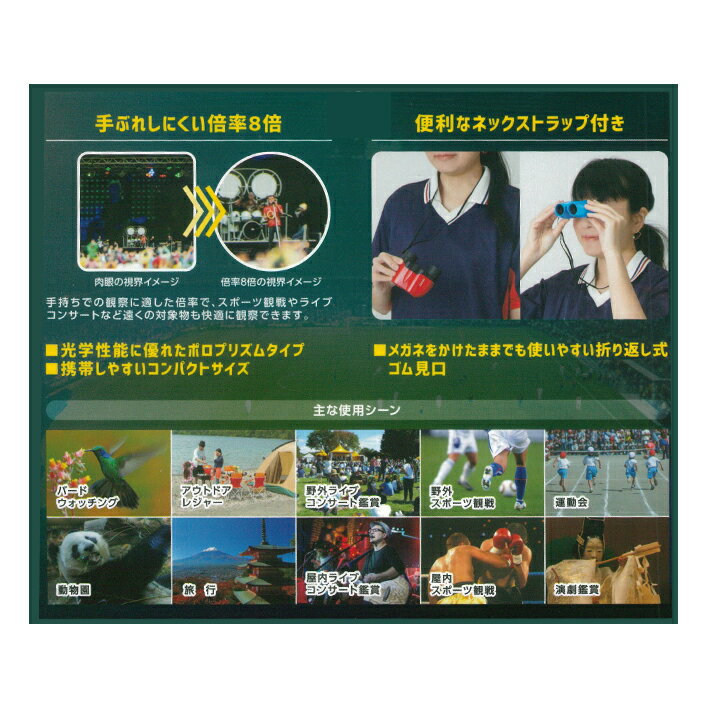 【中古】ソニー デジタルカメラ Cybershot W300 (1360万画素/光学x3/デジタルx6) DSC-W300