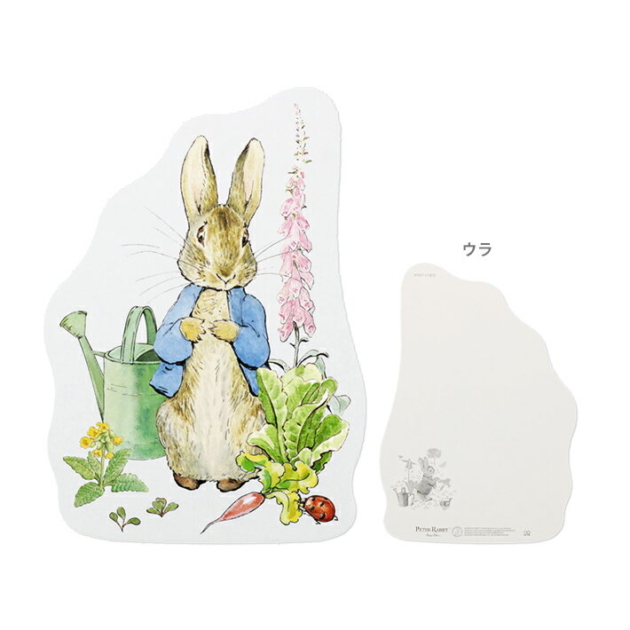 ԡӥåȡåȥݥȥɡ֥롼4901770684185[M 1/8]