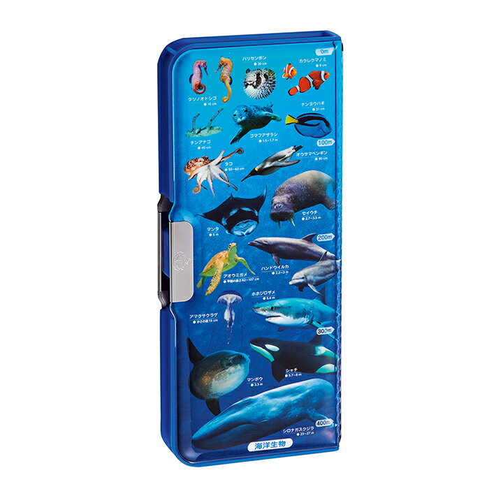 クツワ 筆箱 両面 学べる2ドア筆入 海洋生物 SF022 新入学文具 小学生 男の子 女の子 かっこいい 図鑑 海の生き物 クジラ イルカ 深海魚 青 ブルー...