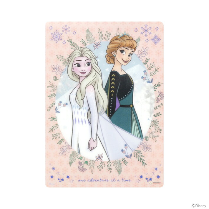 ディズニー・プリンセス　アナと雪の女王　下敷き　B5　4901770693873　新入学文具　[M便 1/20]　　[disneyzone]