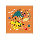 【全品ポイント10倍！11/25-26限定キャンペーン】ポケモン　ウォッシュタオル　WN414700　[M便 1/3]