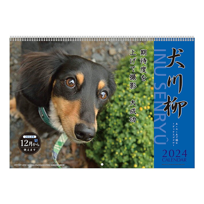 2024年　壁掛けカレンダー　犬川柳　ダックス川柳　1000128378のサムネイル